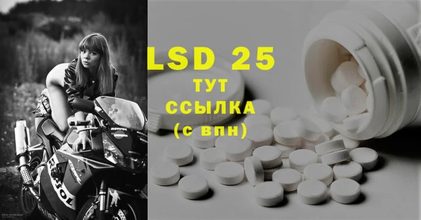 стаф Абинск